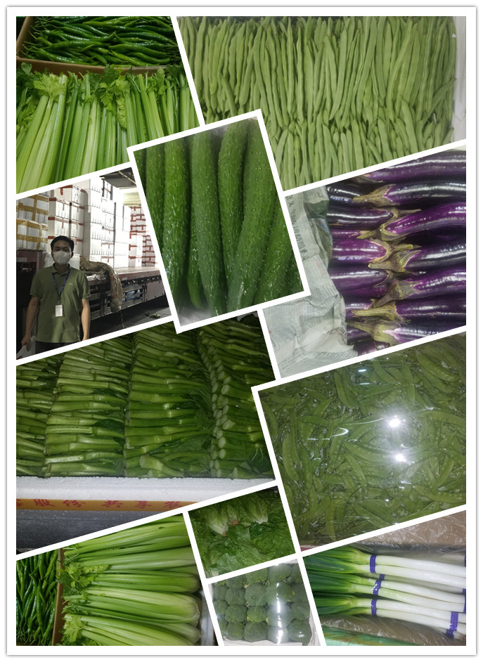 万利官网-相信品牌力量