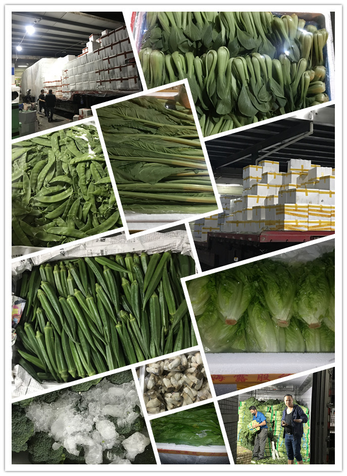 万利官网-相信品牌力量