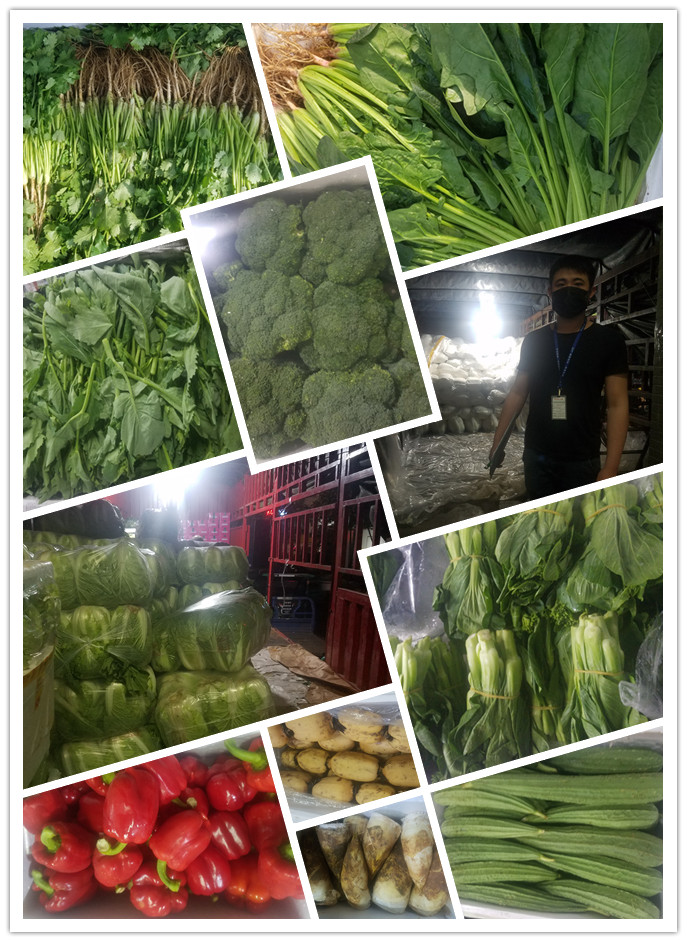 万利官网-相信品牌力量