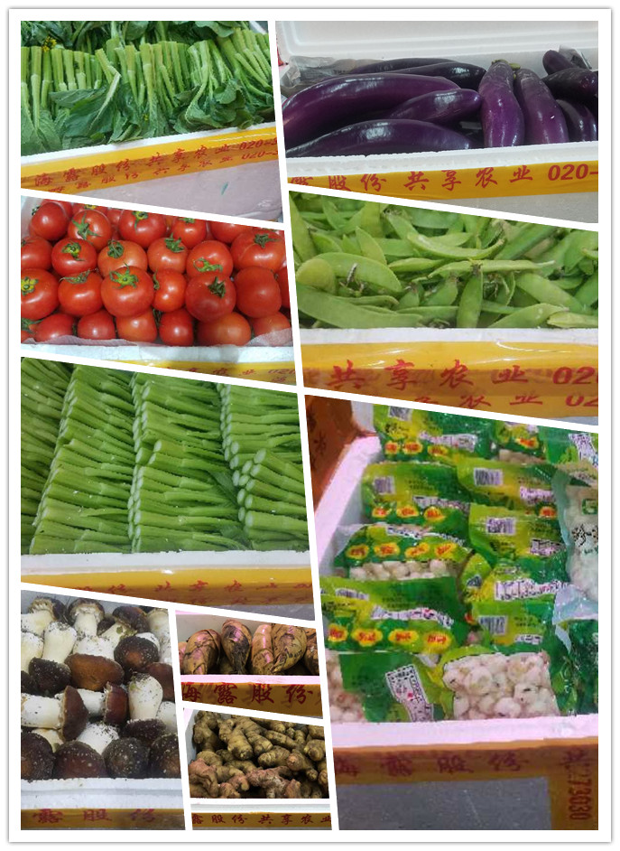 万利官网-相信品牌力量