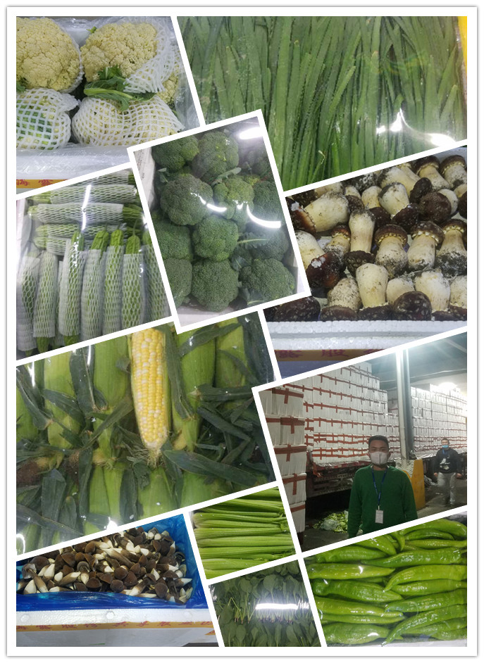 万利官网-相信品牌力量