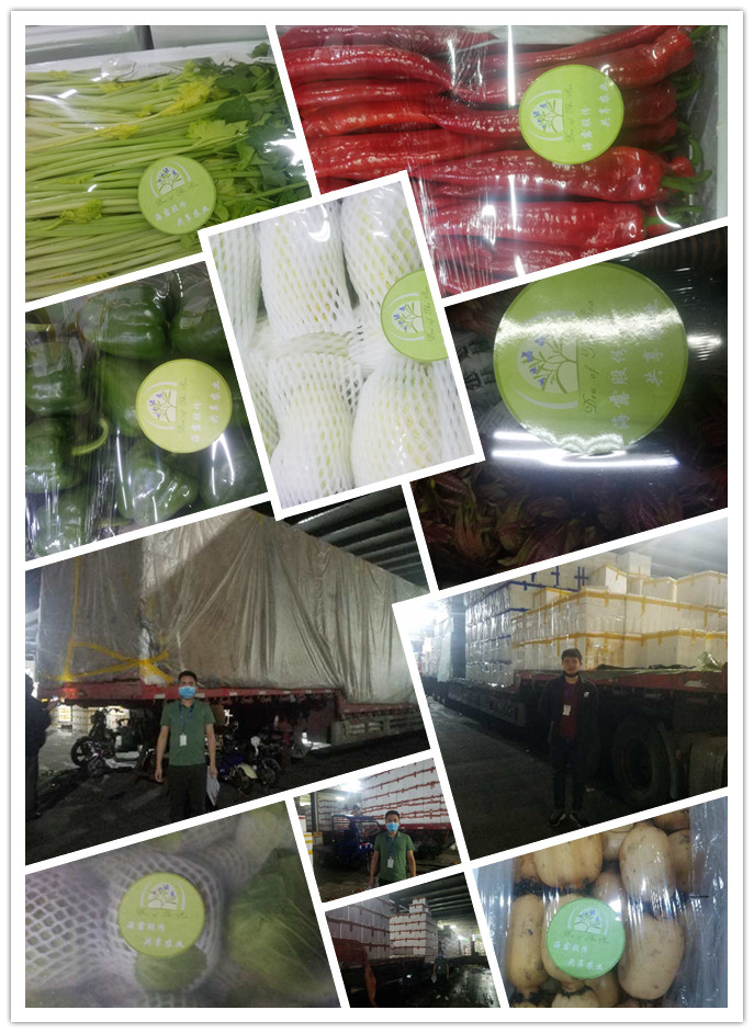 万利官网-相信品牌力量