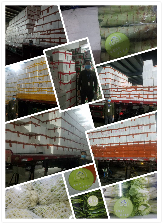 万利官网-相信品牌力量