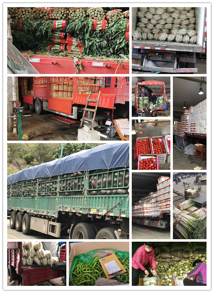 万利官网-相信品牌力量