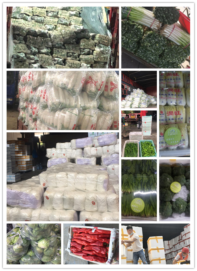 万利官网-相信品牌力量