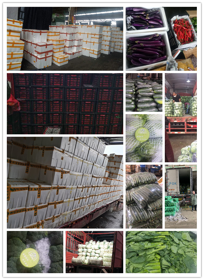 万利官网-相信品牌力量