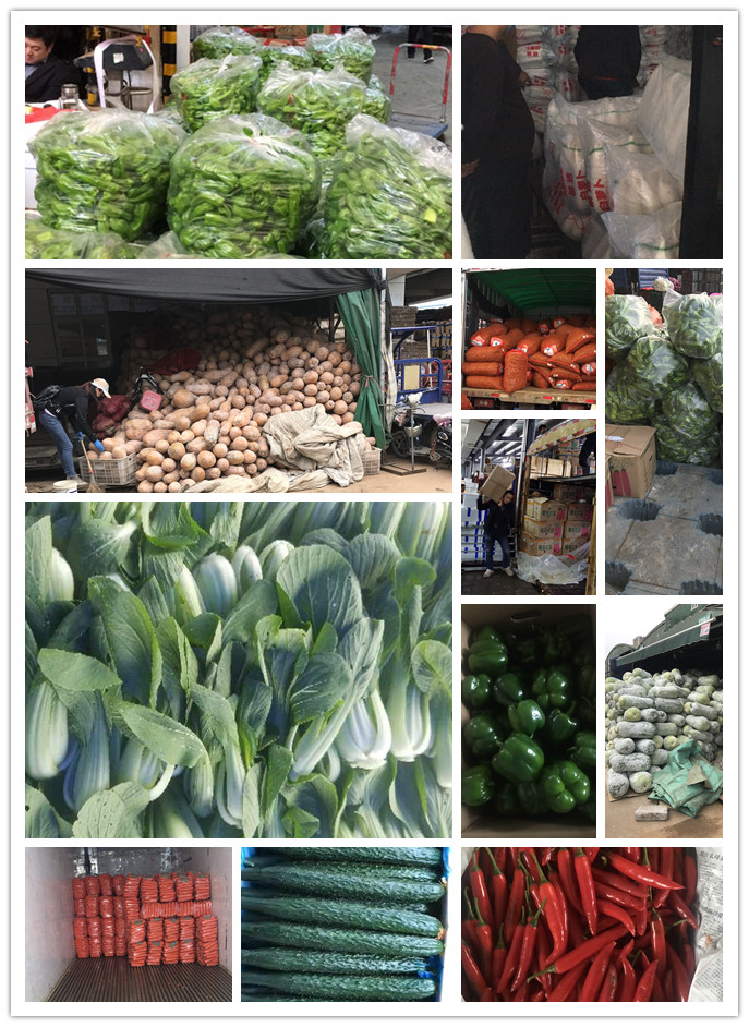 万利官网-相信品牌力量