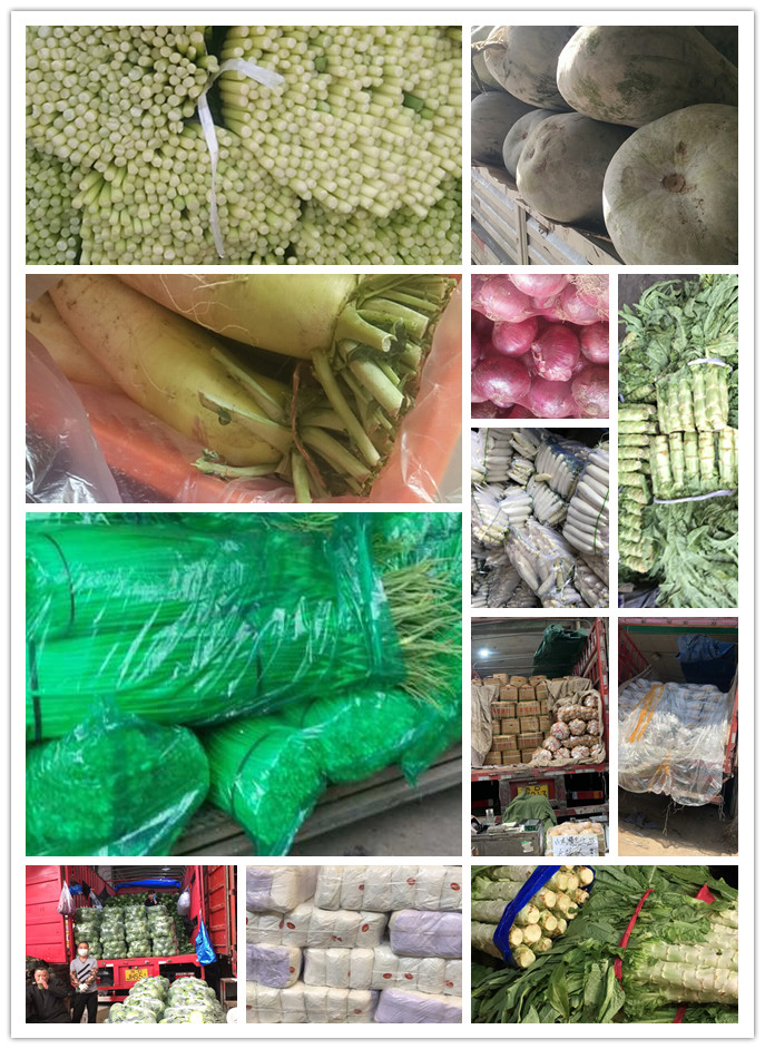 万利官网-相信品牌力量