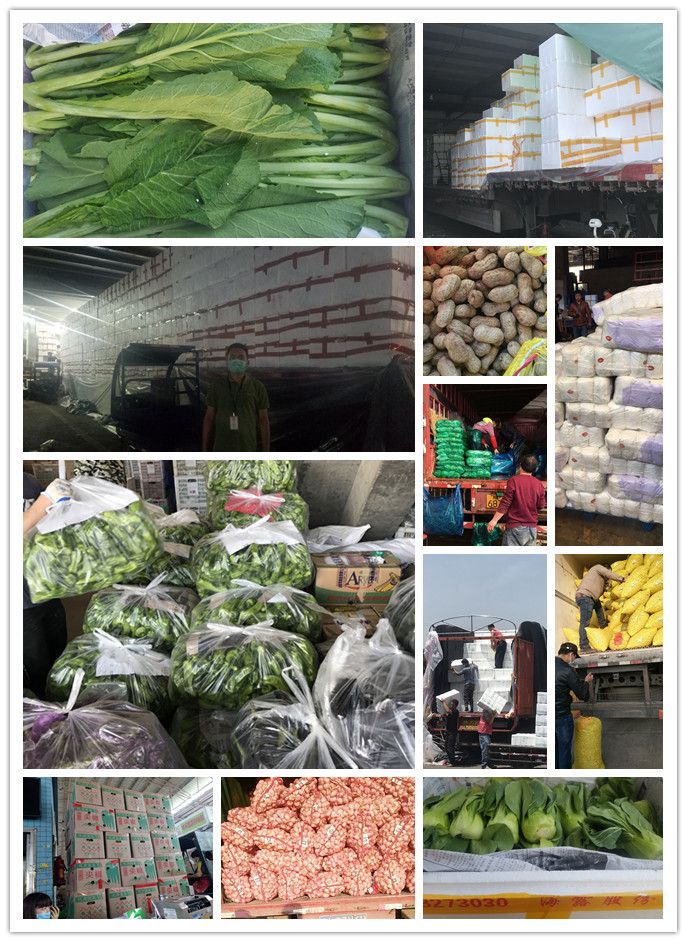 万利官网-相信品牌力量