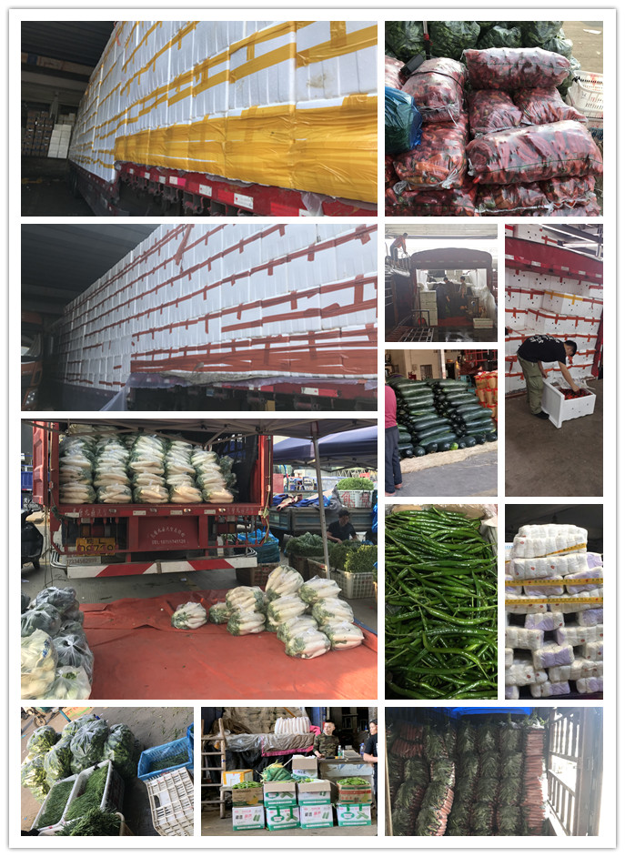 万利官网-相信品牌力量