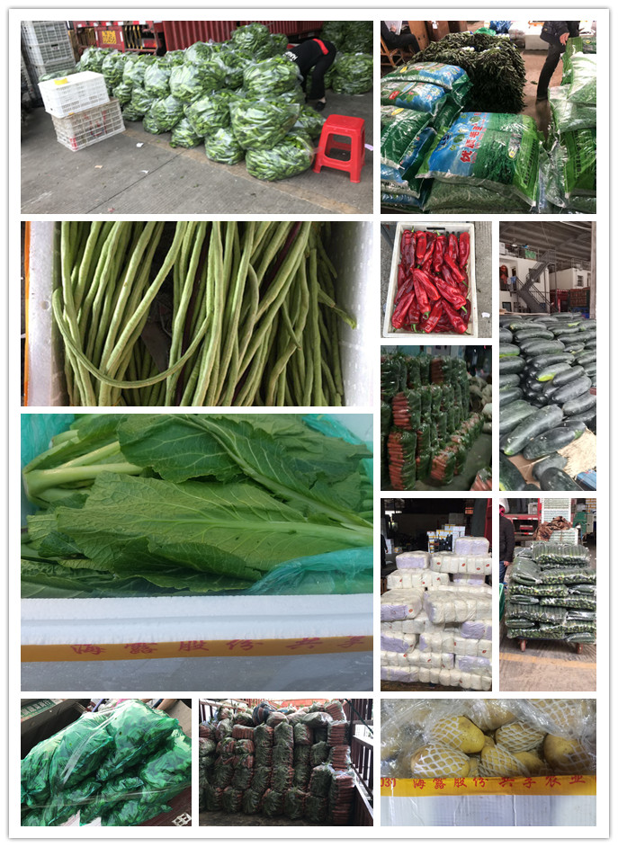 万利官网-相信品牌力量