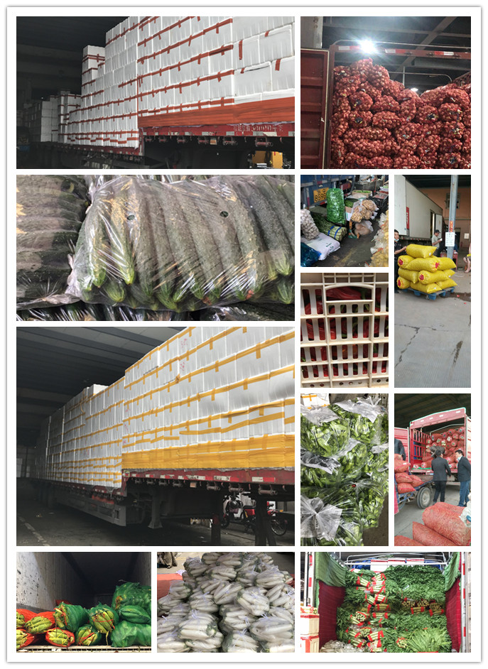 万利官网-相信品牌力量