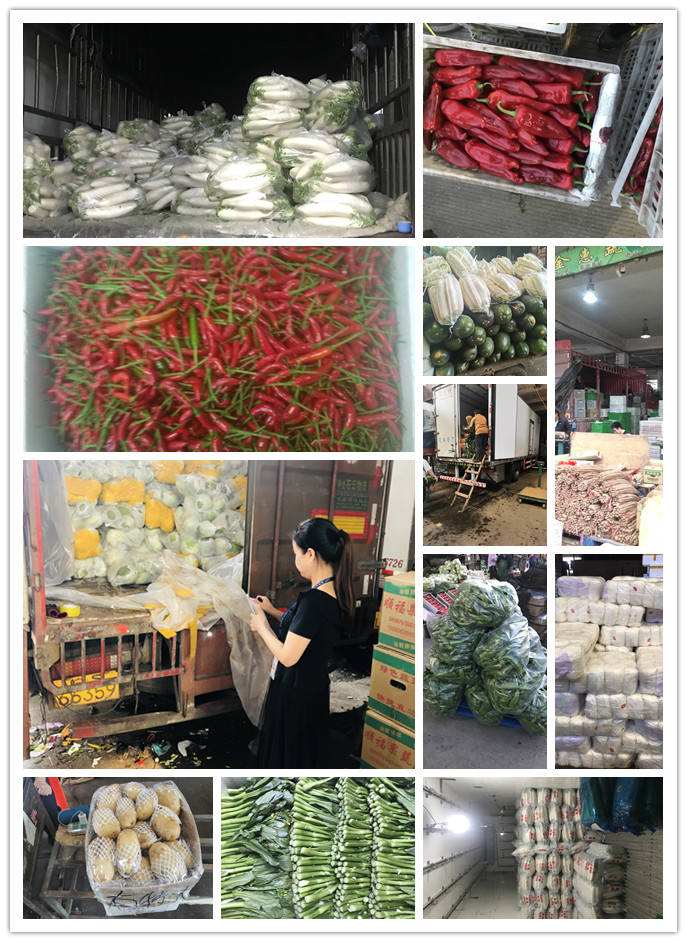 万利官网-相信品牌力量