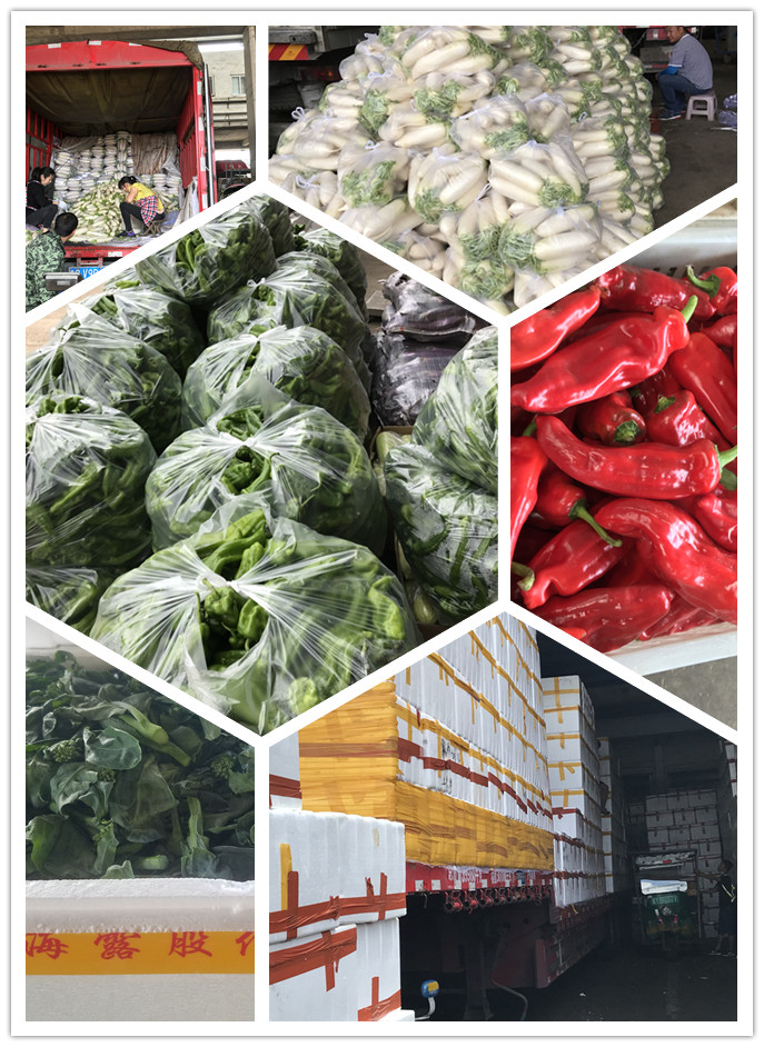 万利官网-相信品牌力量