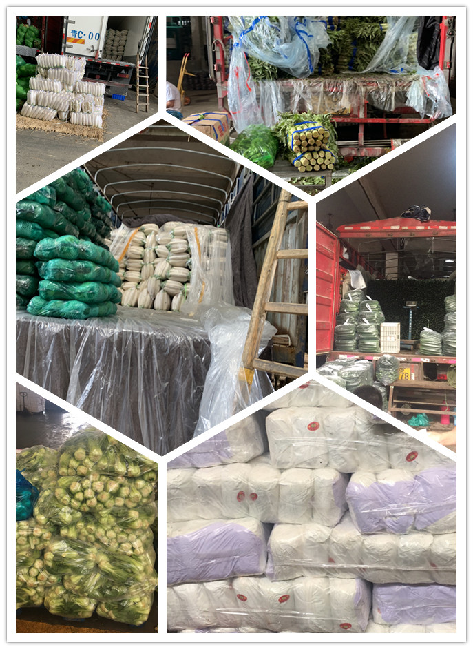 万利官网-相信品牌力量