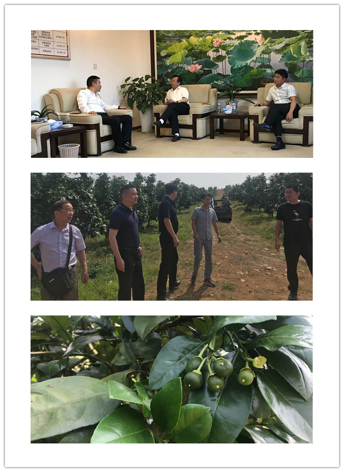 万利官网-相信品牌力量