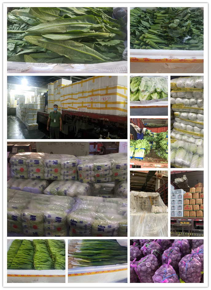 万利官网-相信品牌力量