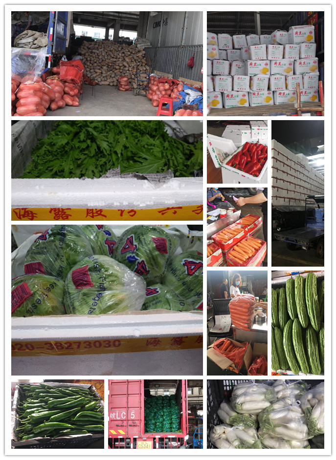 万利官网-相信品牌力量