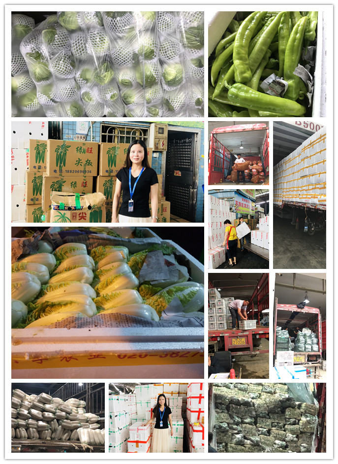 万利官网-相信品牌力量