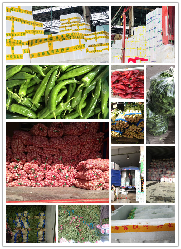 万利官网-相信品牌力量