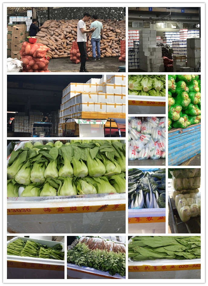 万利官网-相信品牌力量