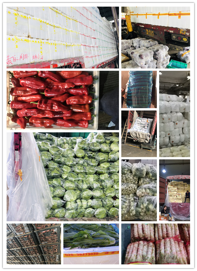 万利官网-相信品牌力量