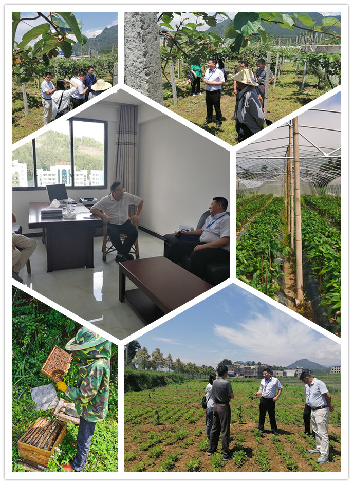 万利官网-相信品牌力量