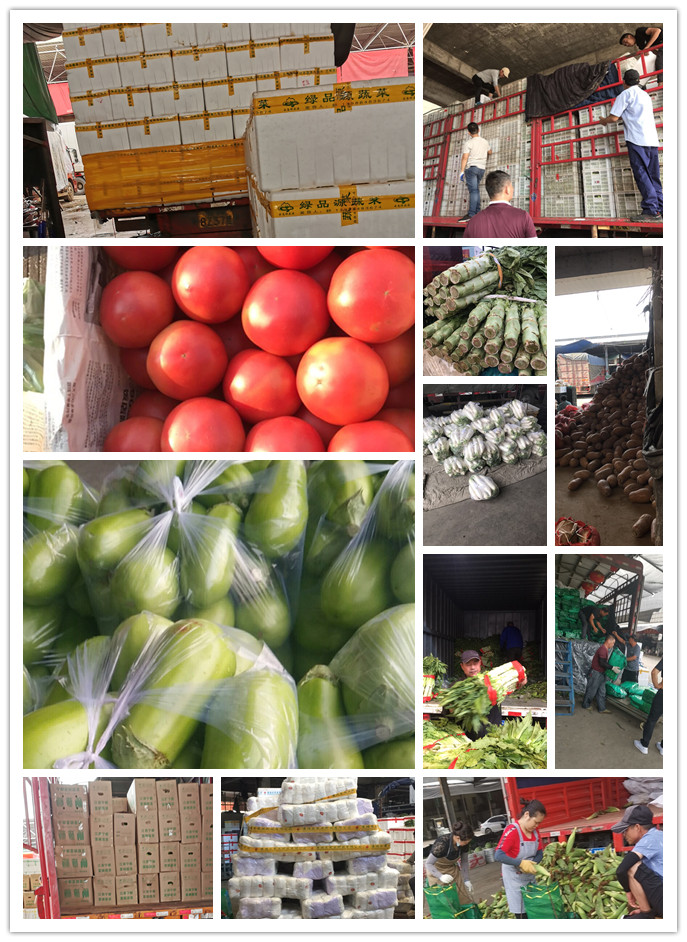 万利官网-相信品牌力量