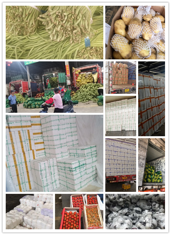 万利官网-相信品牌力量