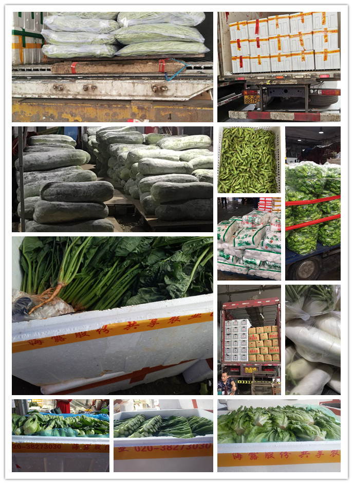 万利官网-相信品牌力量