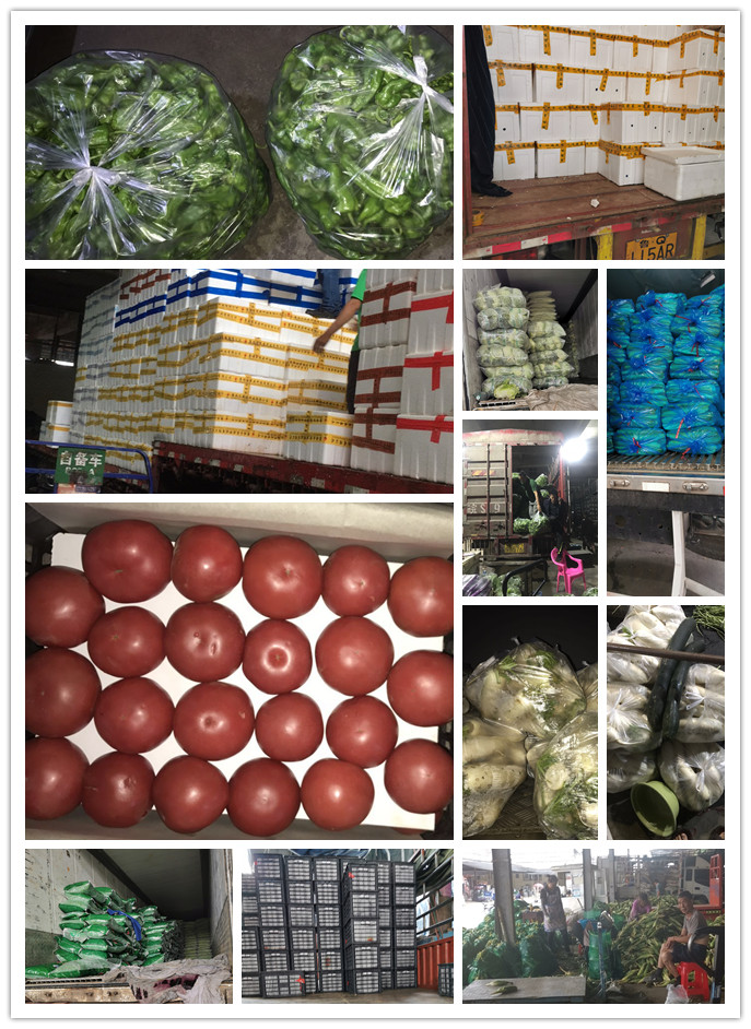 万利官网-相信品牌力量