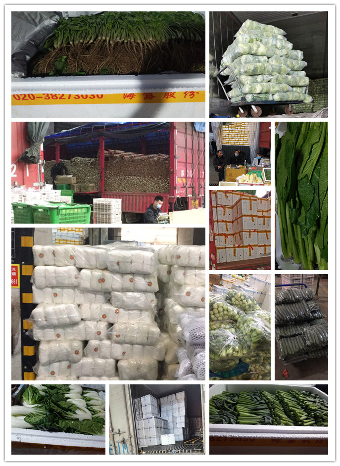 万利官网-相信品牌力量