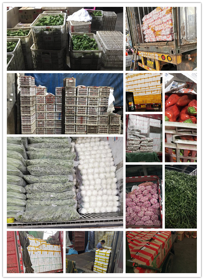 万利官网-相信品牌力量