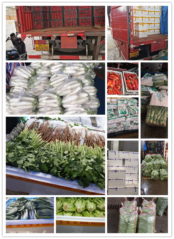 万利官网-相信品牌力量