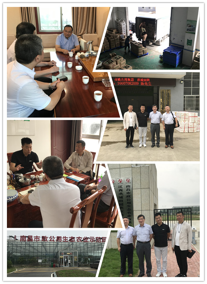 万利官网-相信品牌力量