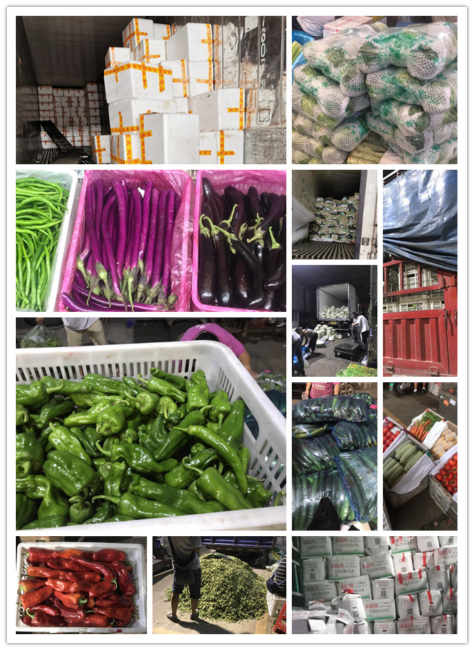 万利官网-相信品牌力量