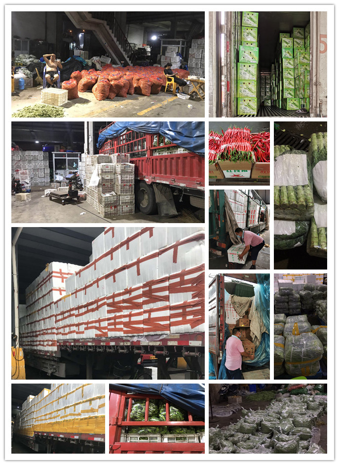 万利官网-相信品牌力量