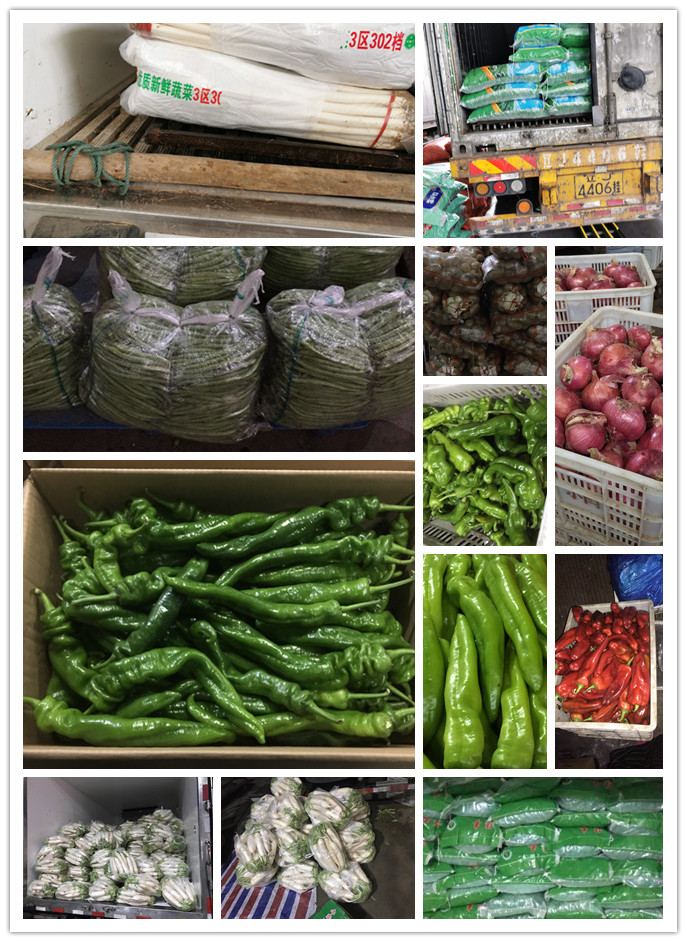 万利官网-相信品牌力量