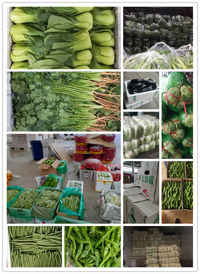 万利官网-相信品牌力量