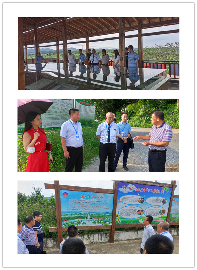 万利官网-相信品牌力量