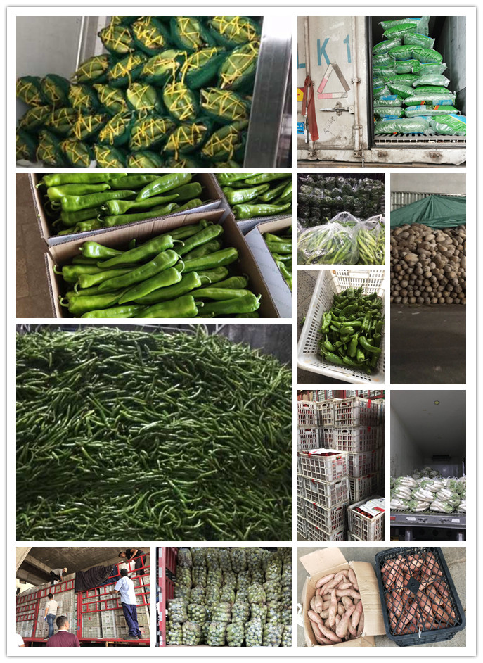 万利官网-相信品牌力量