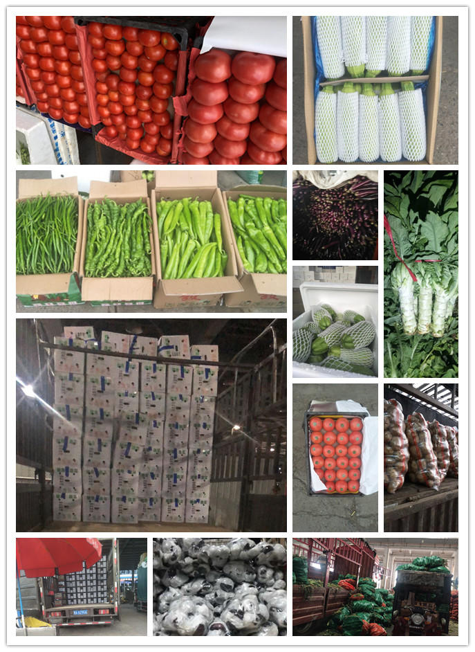 万利官网-相信品牌力量