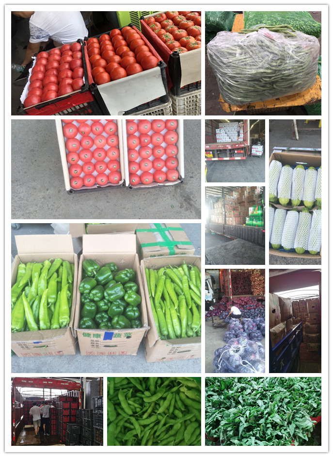 万利官网-相信品牌力量