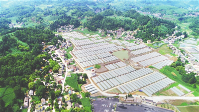 万利官网-相信品牌力量