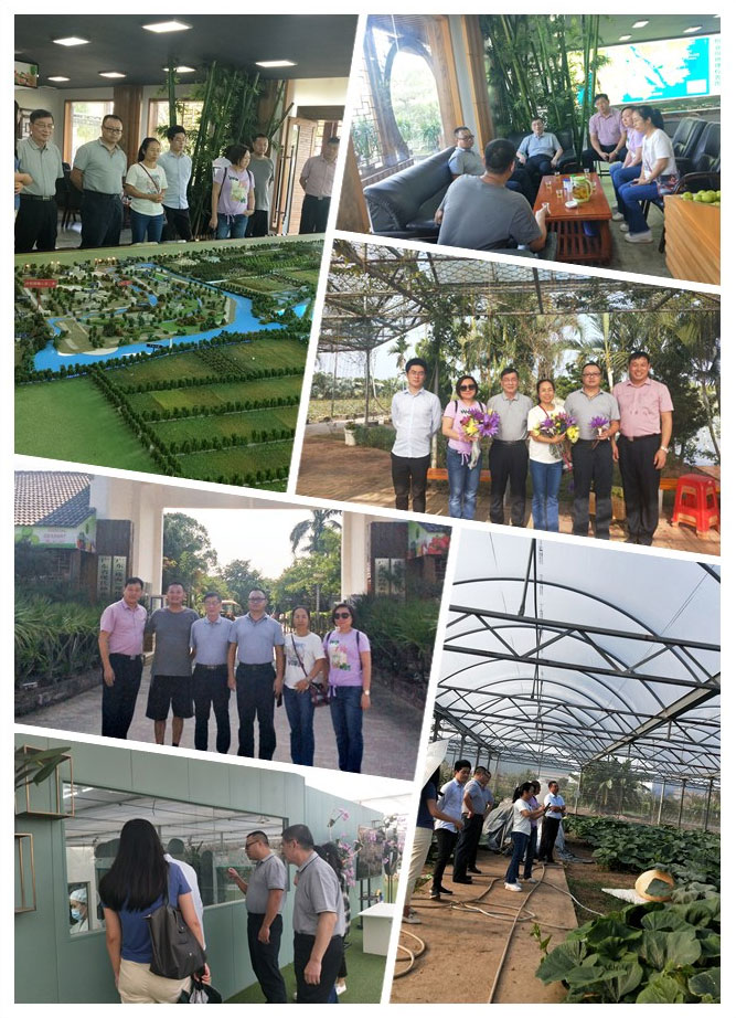 万利官网-相信品牌力量