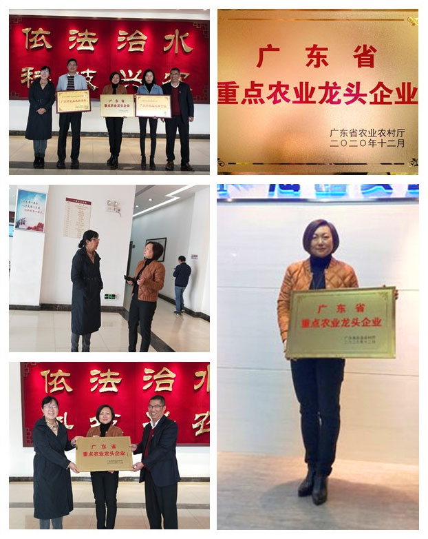 万利官网-相信品牌力量