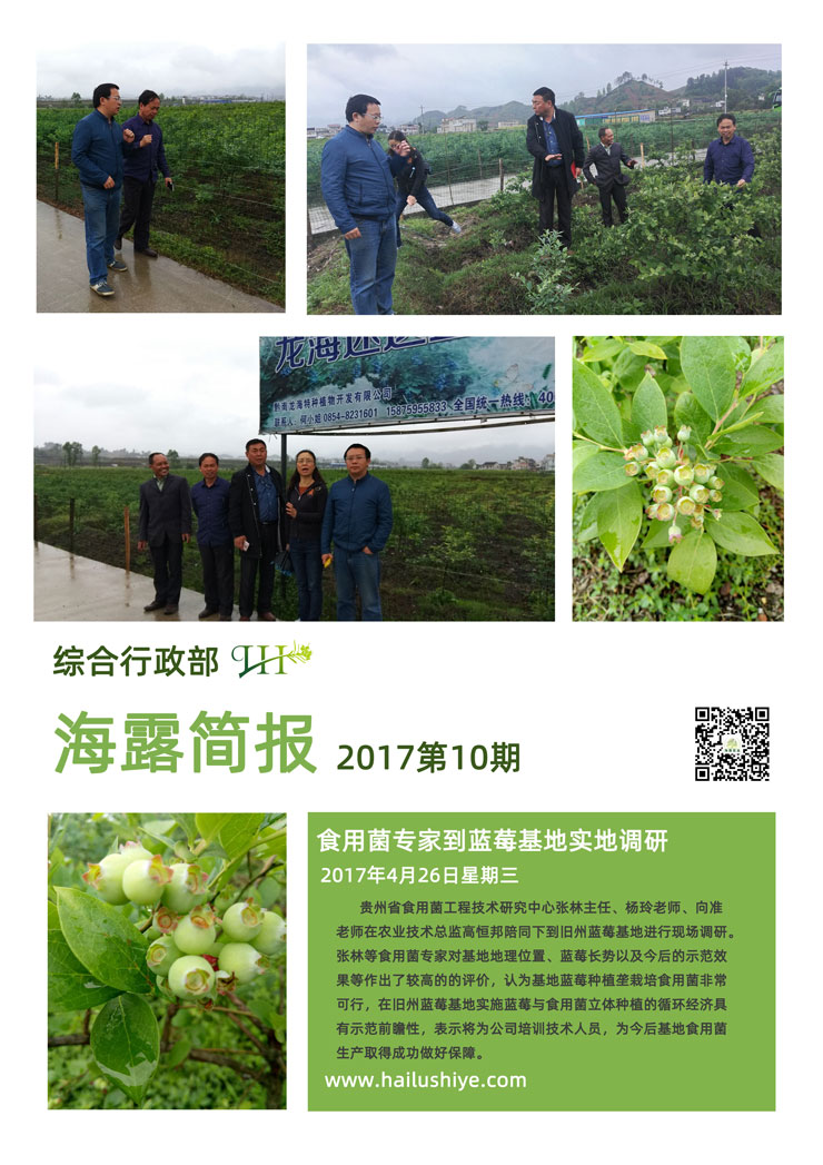 万利官网-相信品牌力量