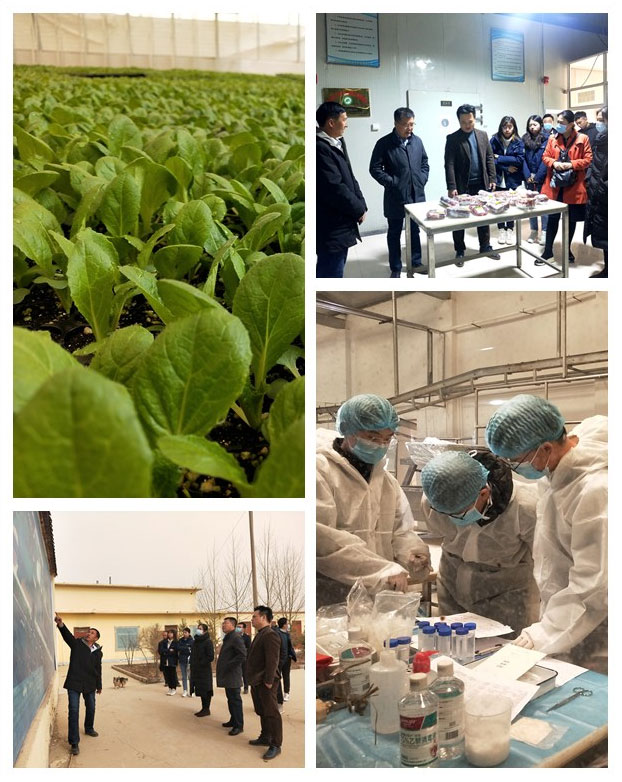 万利官网-相信品牌力量