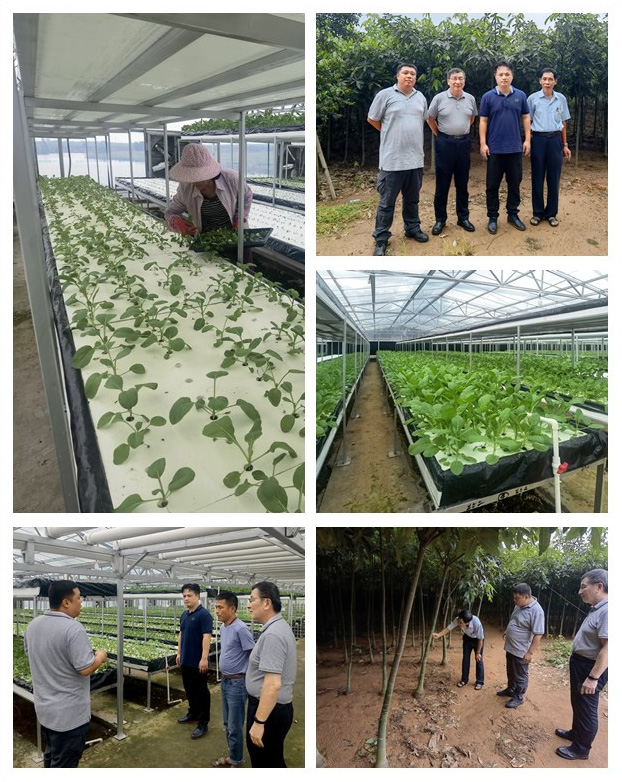 万利官网-相信品牌力量