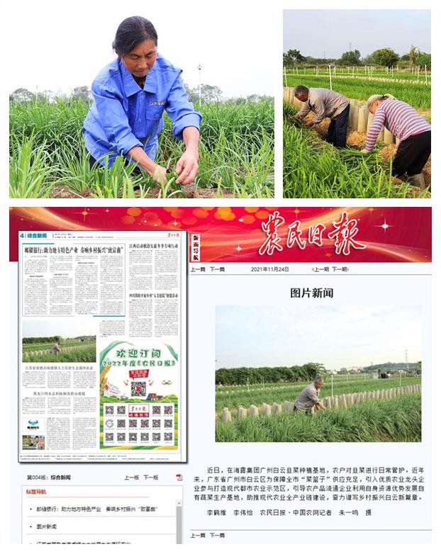 万利官网-相信品牌力量